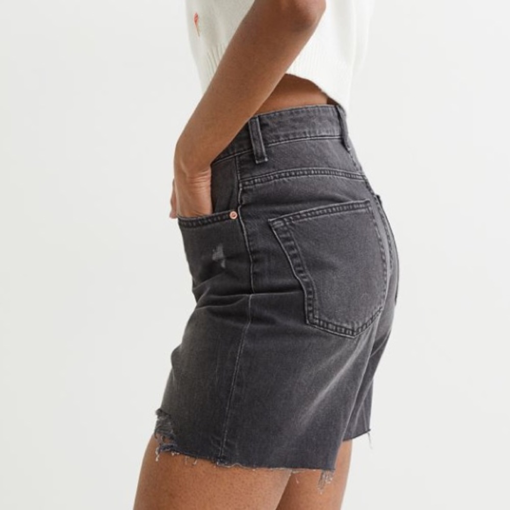 NWT H&M High Waisted Shorts